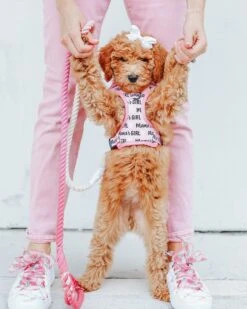 Dog Adjustable Harness - Mama's Girl -Furfinity Cheap Shop mamas girl dog harness 20 c5dc0189 036e 4cf5 b061 49be33fdd832