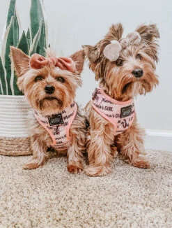 Dog Adjustable Harness - Mama's Girl -Furfinity Cheap Shop mamas girl dog harness 6 62968814 6a68 4b88 96ff ffaf63053f6a
