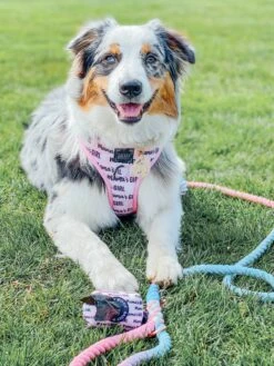 Dog Waste Bag Holder - Mama's Girl -Furfinity Cheap Shop mamas girl dog harness 8 de92022c 3505 42db b046 9eb27461c9e8