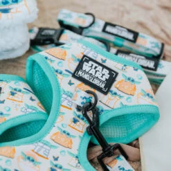 Dog Two Piece Bundle -STAR WARS™ The Child™ -Furfinity Cheap Shop mandalorian product photos 10