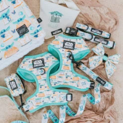 Dog Four Piece Bundle - STAR WARS™ The Child™ -Furfinity Cheap Shop mandalorian product photos 8