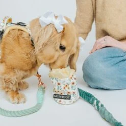 Treat Pouch - Sunflower Dreams -Furfinity Cheap Shop maya treatpouch 7