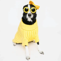 Dog Cable Knit Sweater - Yellow -Furfinity Cheap Shop mbaelsweater 2