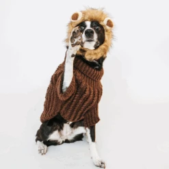 Dog Cable Knit Sweater - Brown 15 Dog Cable Knit Sweater - Brown -Furfinity Cheap Shop mbaelsweater 3