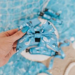 Dog Sailor Bow - Might As Whale -Furfinity Cheap Shop might as whale dog collection 5