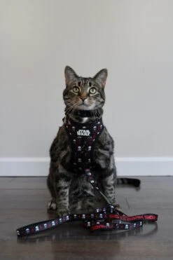 Cat Leash - STAR WARS™ The Dark Side -Furfinity Cheap Shop milatheaussiedog 3 c70d7ab4 0575 4285 b3c2 3eb0e2ea4a52