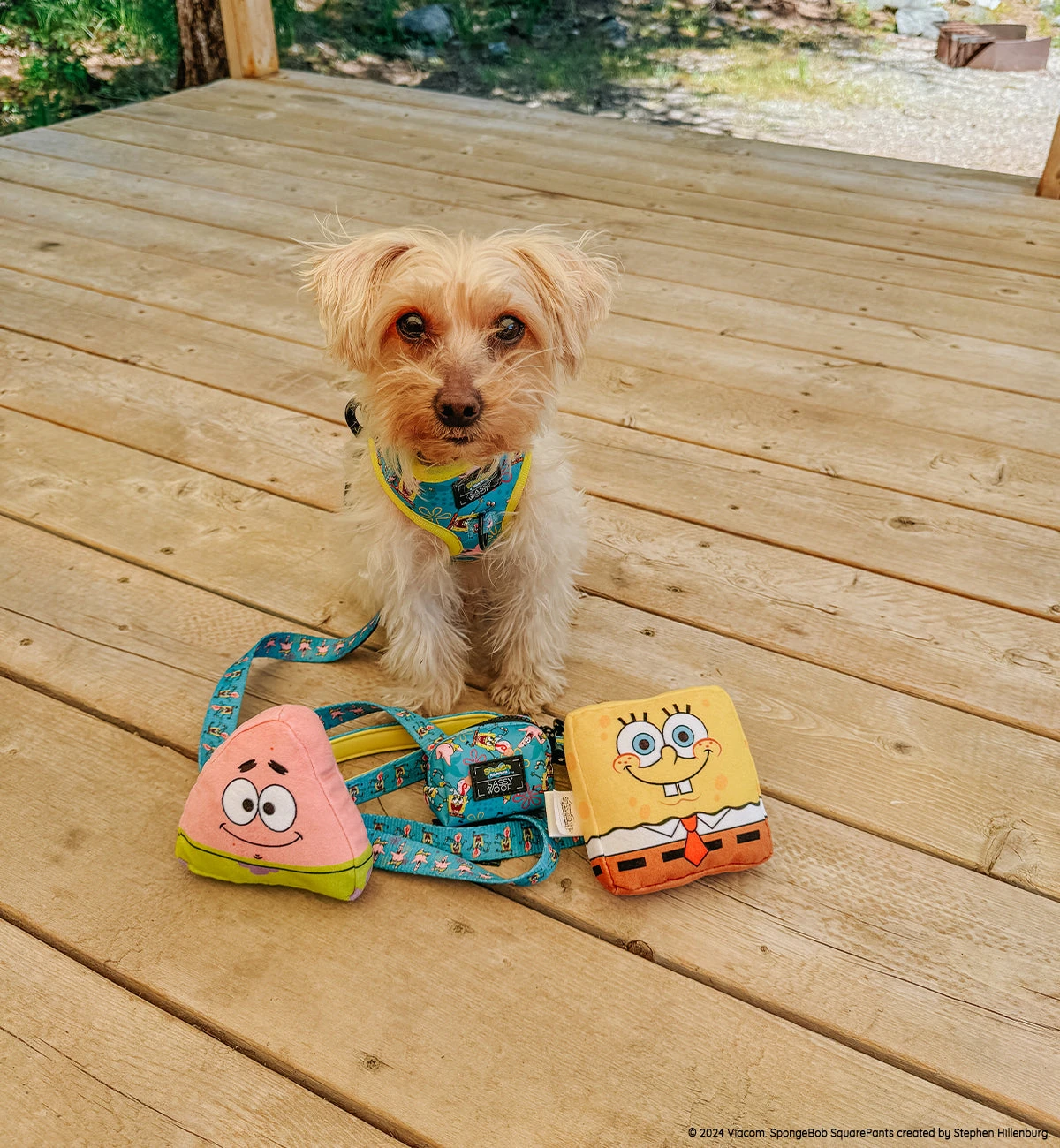 Dog Toy - SpongeBob SquarePants™ 6 Dog Toy - SpongeBob SquarePants™ - Image 4