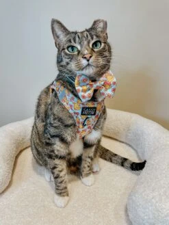 Cat Collar - Good Duck, Babe! -Furfinity Cheap Shop milocat sweetness 1 7f7f32d4 b4ff 4383 8a0a 193170cba3d2