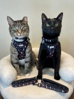 Cat Bundle - STAR WARS™ The Dark Side -Furfinity Cheap Shop milocat sweetness 1 ceca16ef e3bb 4245 93f1 ef398c6df8c6