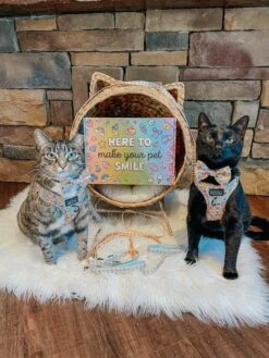 Cat Bundle - Good Duck, Babe! 23 Cat Bundle - Good Duck, Babe! -Furfinity Cheap Shop milocat sweetness 2 11e928b8 8e33 4b7c 9547 d3c4a56014ee