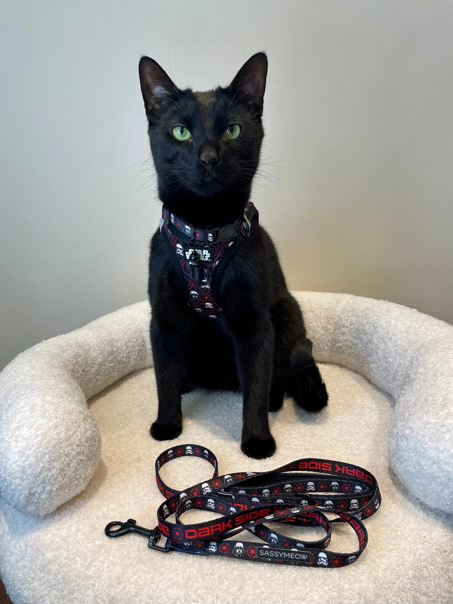 Cat Step-In Harness - STAR WARS™ The Dark Side 10 Cat Step-In Harness - STAR WARS™ The Dark Side - Image 8