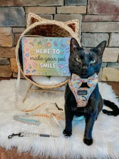 Cat Step-In Harness - Good Duck, Babe! -Furfinity Cheap Shop milocat sweetness 4