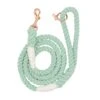 Dog Rope Leash - Mint To Be -Furfinity Cheap Shop mint to be dog rope leash new 1 2