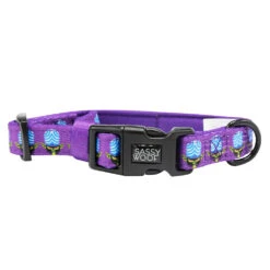 Dog Four Piece Bundle - Mojo Jojo™ -Furfinity Cheap Shop mojo collar 2 ebd0caca c642 4707 ad87 dd33ff59baba