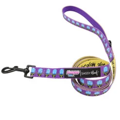 Dog Two Piece Bundle -Mojo Jojo™ -Furfinity Cheap Shop mojo leash 1