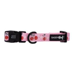 Dog Collar - Mon Chérry -Furfinity Cheap Shop mon cherry dog collar 2