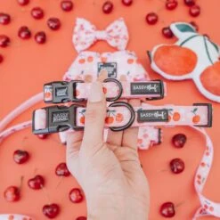 Dog Collar - Mon Chérry -Furfinity Cheap Shop mon cherry dog collection 9