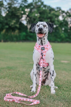 Dog Waste Bag Holder - Mon Chérry -Furfinity Cheap Shop mon cherry dog collection 13