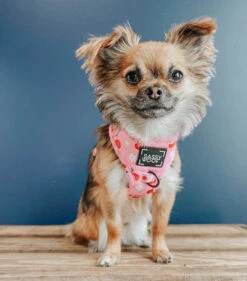 Dog Adjustable Harness - Mon Chérry -Furfinity Cheap Shop mon cherry dog harness 1