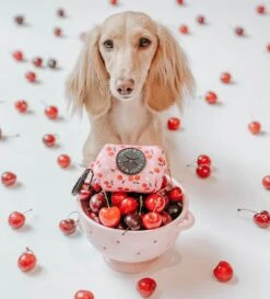 Dog Waste Bag Holder - Mon Chérry -Furfinity Cheap Shop mon cherry dog harnesse bundle 17