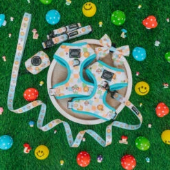 Dog Four Piece Bundle - Mush Love -Furfinity Cheap Shop mush love product photos