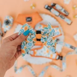 Dog Sailor Bow - Must Be The Honey -Furfinity Cheap Shop must be the honey dog collection 3