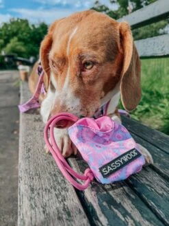 Dog Treat Pouch - Purple Haze 14 Dog Treat Pouch - Purple Haze -Furfinity Cheap Shop myladee 4