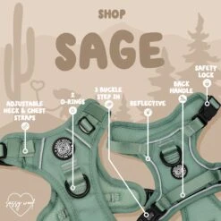 Dog Four Piece Bundle - Sage -Furfinity Cheap Shop n