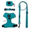 Dog Four Piece Bundle - Neon Blue -Furfinity Cheap Shop neon blue dog bundle patented 1