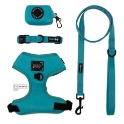 Dog Four Piece Bundle - Neon Blue