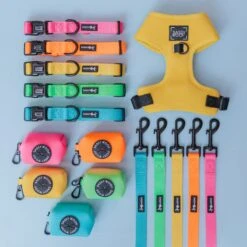 Dog Leash - Neon Yellow 17 Dog Leash - Neon Yellow -Furfinity Cheap Shop neon bundle second attempt 3 901d9c09 c0c0 4f1b 87fa 19fb8c59684e