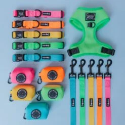 Dog Four Piece Bundle - Neon Green -Furfinity Cheap Shop neon bundle second attempt 4 cbb3f2e1 324e 42dd 918d 82bf367222ff