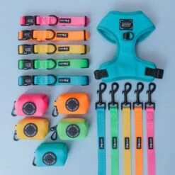 Dog Leash - Neon Blue -Furfinity Cheap Shop neon bundle second attempt 5 23dbe8ea 9493 481b 8438 c3c2afb0f9d1