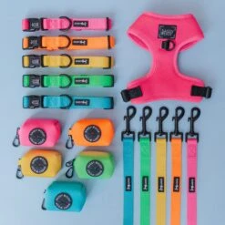 Dog Four Piece Bundle - Neon Pink -Furfinity Cheap Shop neon bundle second attempt c74121e9 1442 476e 9977 d2b5e28bf80c