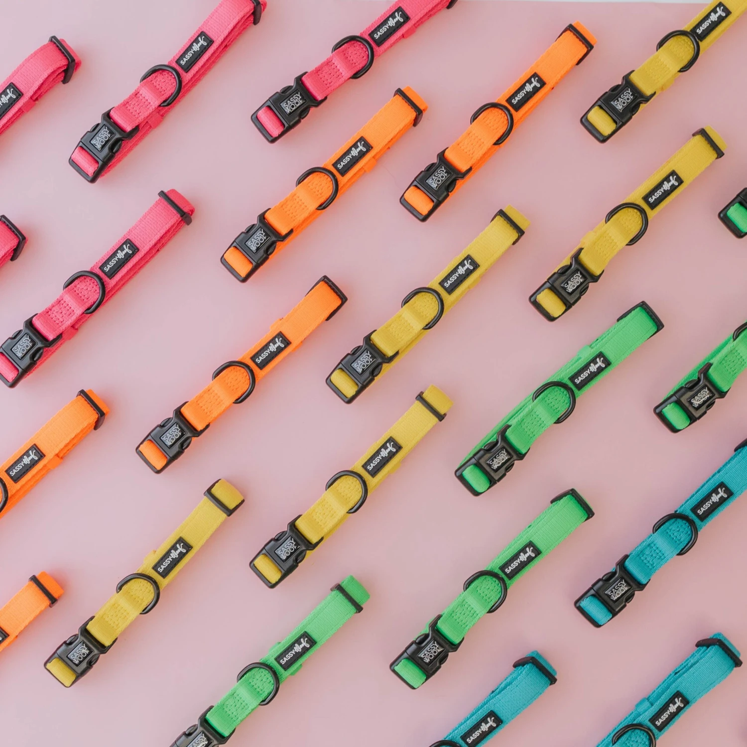 Dog Collar - Neon Yellow 7 Dog Collar - Neon Yellow - Image 5