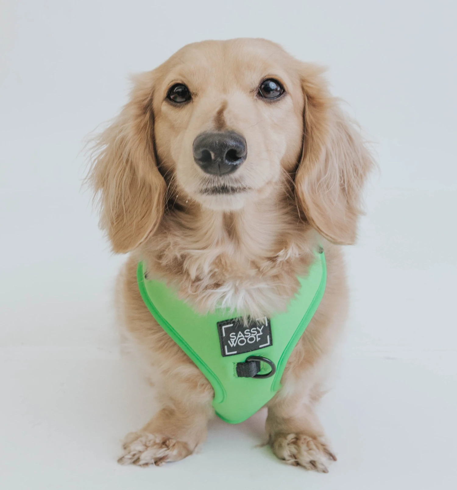 Dog Adjustable Harness - Neon Green 15 Dog Adjustable Harness - Neon Green - Image 13