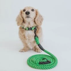 Dog Rope Leash - Neon Green -Furfinity Cheap Shop neon green collection 8