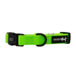 Dog Collar - Neon Green 15 Dog Collar - Neon Green -Furfinity Cheap Shop neon green dog collar 1
