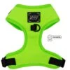 Dog Adjustable Harness - Neon Green 2 Dog Adjustable Harness - Neon Green -Furfinity Cheap Shop neon green dog harness 2 794aab64 fd24 4b14 af23 21dac7298780