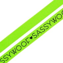 Dog Leash - Neon Green -Furfinity Cheap Shop neon green leash