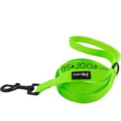 Dog Two Piece Bundle - Neon Green -Furfinity Cheap Shop neon green leash 2 6fd870ab a2fb 4fd0 89f7 5fe35e843f49