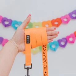 Dog Leash - Neon Orange -Furfinity Cheap Shop neon leash costco 2