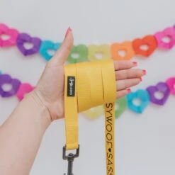 Dog Leash - Neon Yellow 16 Dog Leash - Neon Yellow -Furfinity Cheap Shop neon leash costco 3