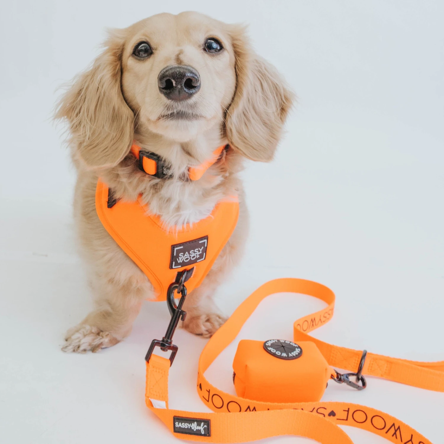 Dog Four Piece Bundle - Neon Orange 12 Dog Four Piece Bundle - Neon Orange - Image 10