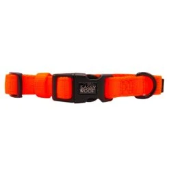 Collar Three Piece Bundle - Neon Orange -Furfinity Cheap Shop neon orange dog collar 3