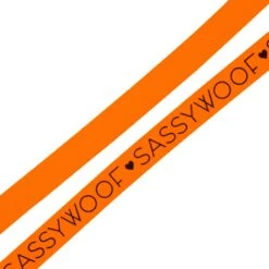 Dog Leash - Neon Orange -Furfinity Cheap Shop neon orange dog collection