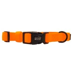 Dog Four Piece Bundle - Neon Orange 20 Dog Four Piece Bundle - Neon Orange -Furfinity Cheap Shop neon orange dog collection 3