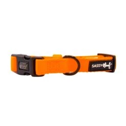 Dog Collar - Neon Orange -Furfinity Cheap Shop neon orange dog collection 7