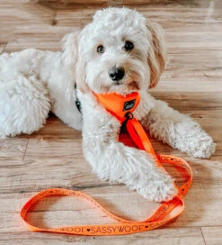 Dog Adjustable Harness - Neon Orange -Furfinity Cheap Shop neon orange harness dog 4 e7e40969 d806 496c 9d6d 876d3224b065