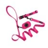 Collar Three Piece Bundle - Neon Pink -Furfinity Cheap Shop neon pink bundle 2